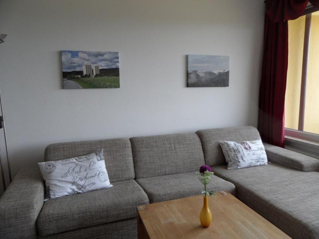Ferienapartment Mit Schwimmbad Und Bergblick Braunlage Kültér fotó